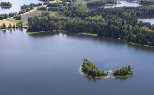 19_Berzoro ez.sala_.A.Gedvilo n..jpg